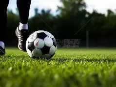 西甲第,巴拉多利德,塞维利亚较,开云体育app下载,开云体育官网,开云体育官方网站,开云体育平台