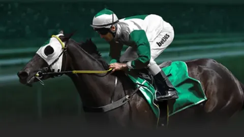 14连胜风云再起！谁能在这波高歌猛进中意外失手？