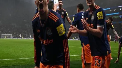 哈尔滨亚冬会观赛日程公布！央广网率先透露