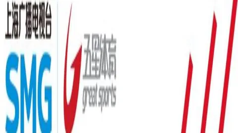 欧冠经验足勒沃库森对阵阿森纳分析